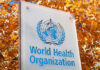 World Health Organization sign with autumn leaves background