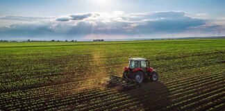 Tractor plowing a vast green field at sunset