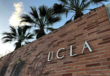 Brick wall with UCLA lettering and palm trees.