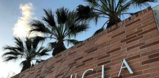 Brick wall with UCLA lettering and palm trees.