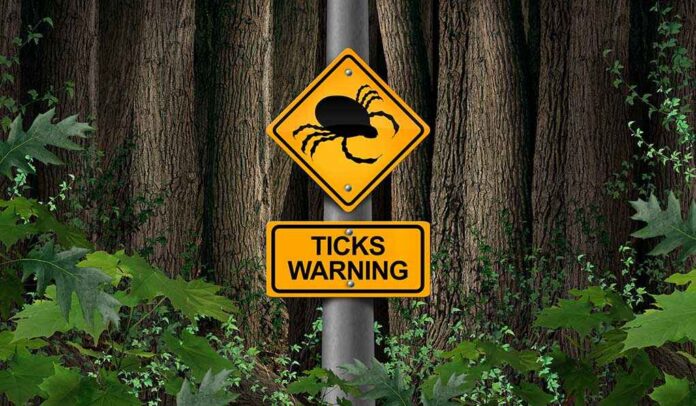 Warning sign about ticks in a forested area