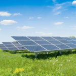 Sheep Army INVADES Solar Farms Nationwide Solar panels in a grassy field under blue sky.