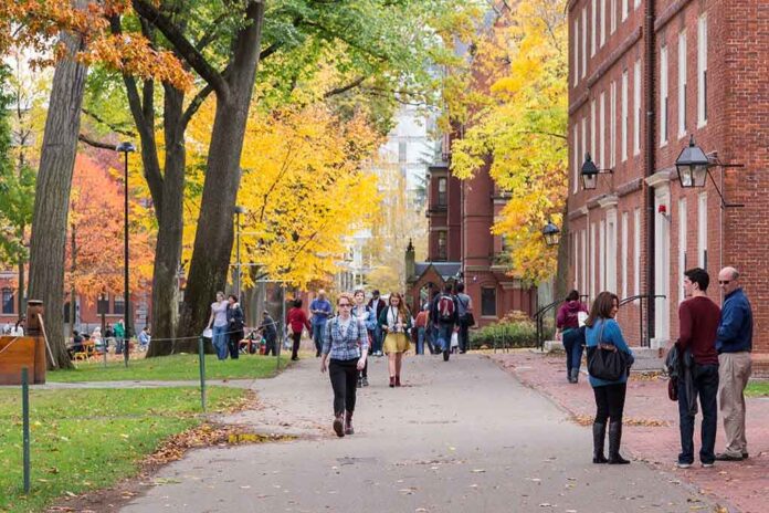 shutterstock_193437935.jpg Students walking on a campus path surrounded by autumn trees and brick buildings
