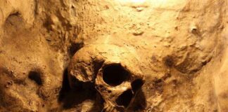 A skull embedded in a rocky surface, illuminated with warm lighting