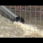 Potomac River Disaster: 243M Gallons of Sewage! 'Ecological disaster': Officials testify on Potomac sewage spill