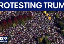 Anti-Trump Concert Announced - 100,000 ATTENDING