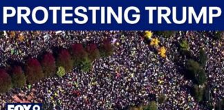 Anti-Trump Concert Announced - 100,000 ATTENDING