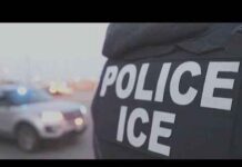 Impact of Trump administration's visa pause | NBC4 Washington