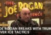 Rogan Goes Off On Trump: 'What the F*ck Are We Doing'