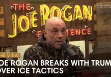 Rogan Goes Off On Trump: 'What the F*ck Are We Doing'