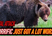 Hiker MIRACULOUSLY Survives Grizzly Sprint Attack!
