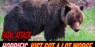 Hiker MIRACULOUSLY Survives Grizzly Sprint Attack!