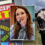 Government Insider DRAINS SNAP – $66M Vanishes! SNAP CRACKDOWN: Trump administration targets alleged food stamp fraud
