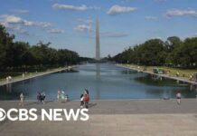 Timeline of Lincoln Memorial Reflecting Pool issues amid Trump makeover