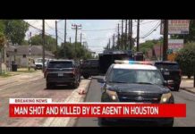 ICE officer shoots, kills illegal immigrant who tried to ram him with car in Texas: report