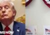 ‘Terrified’ President Trump uses July 4th speech to push voter restriction bill ahead of midterms