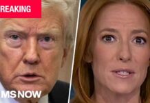 Trump fires independent elections workers in latest attack on U.S. election system