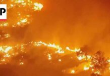Emergency Services EVACUATE City – Wildfire Spreading Fast Firefighters battle one of Spain's biggest-ever wildfires