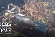 5 Americans among 7 killed in luxury safari helicopter crash in Kenya