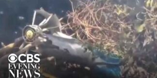 5 Americans among 7 killed in luxury safari helicopter crash in Kenya