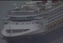 Disney Cruise crewmembers detained as part of child porn probe: CBP | NBC 7 San Diego