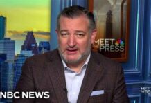 Ted Cruz says Ken Paxton can ‘absolutely win’ Texas Senate race: Full interview