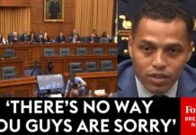 Dad Of Girl Permanently Injured By Illegal Immigrant Driver Calls Out Dems To Their Faces At Hearing