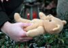 Hands holding a teddy bear near a grave