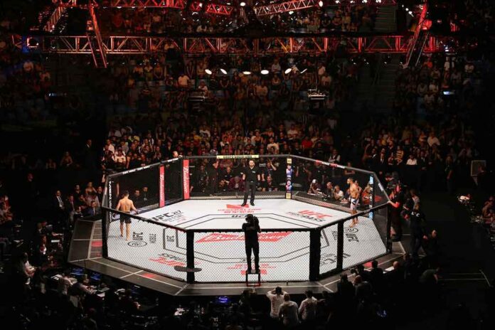 mma fighters in an octagon cage before a match