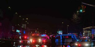 Nighttime police scene with flashing lights on a wet city street